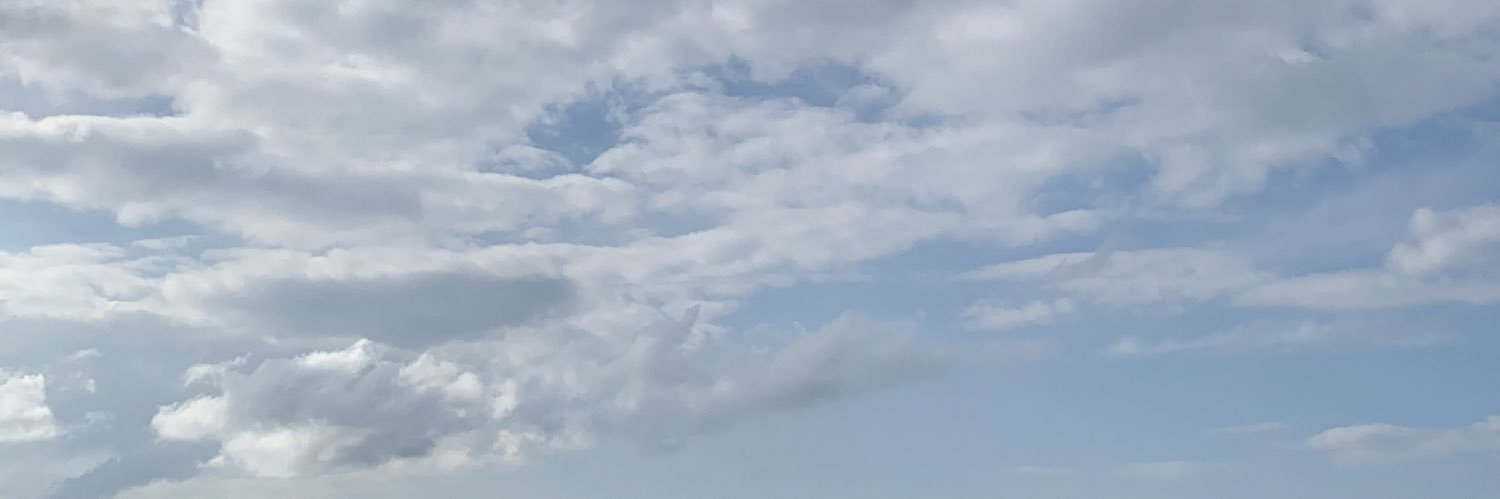 lethalshirl's profile banner image