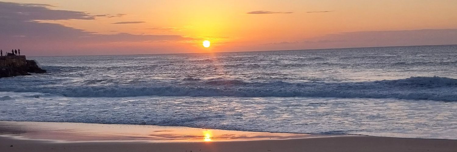 Null_And_Void banner