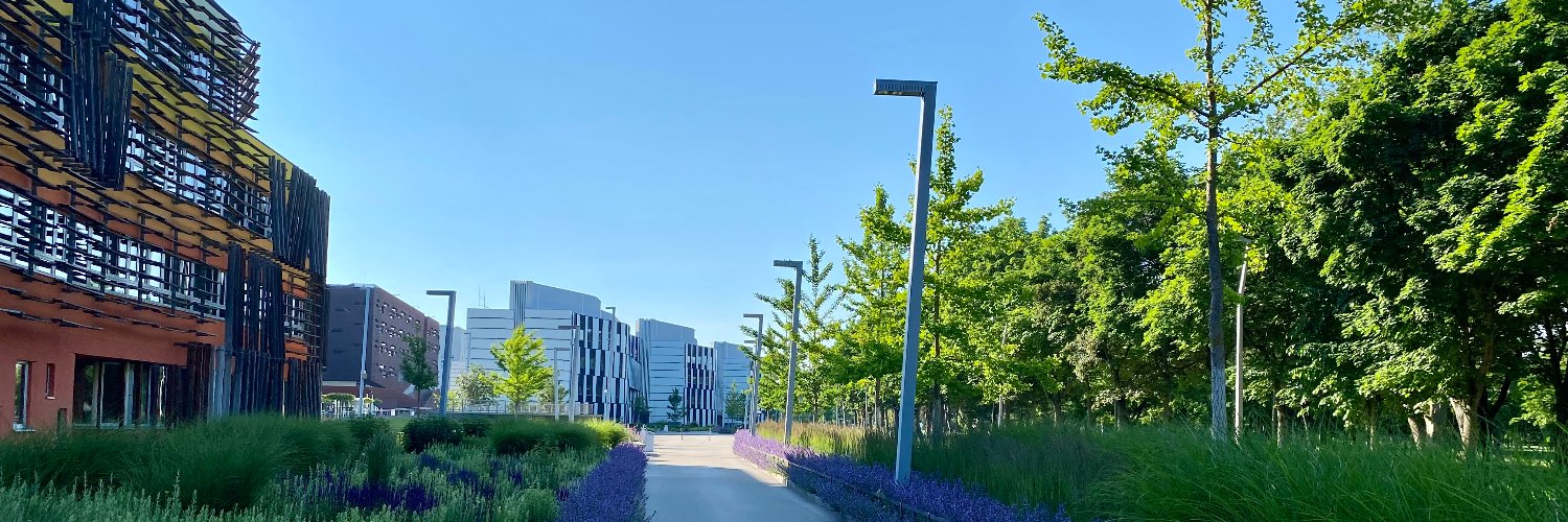 Lisa Hohensinn banner