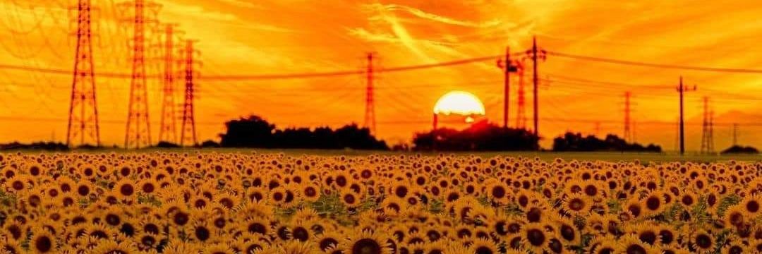 leischatzy's profile banner image