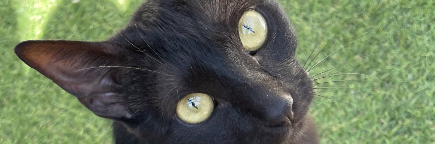 luzponceoro's profile banner image