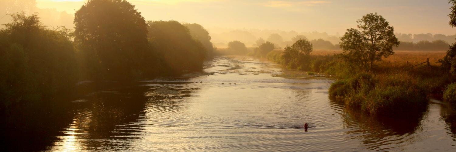 Wild Swimming books banner