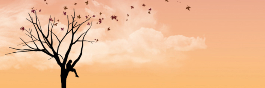 bouguir's profile banner image