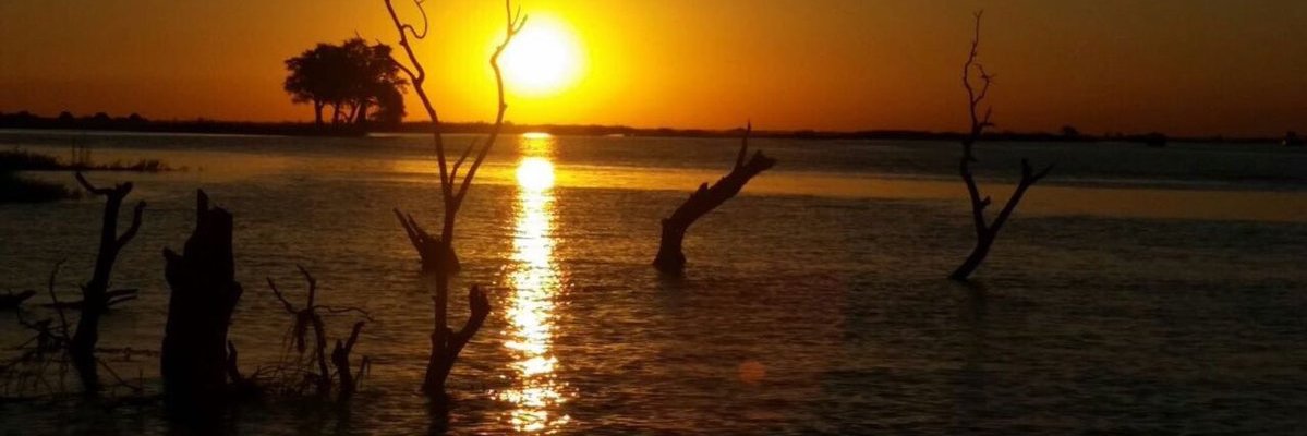 meshwiires's profile banner image