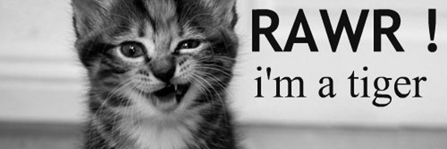 ramonjaa's profile banner image