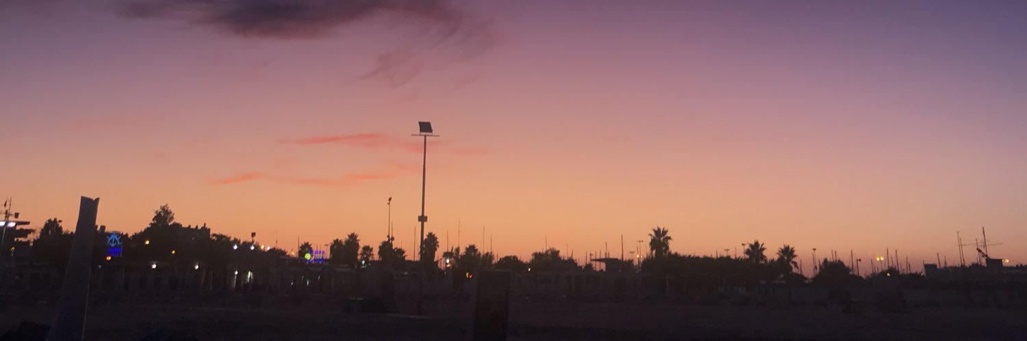 AnyaRostova's profile banner image