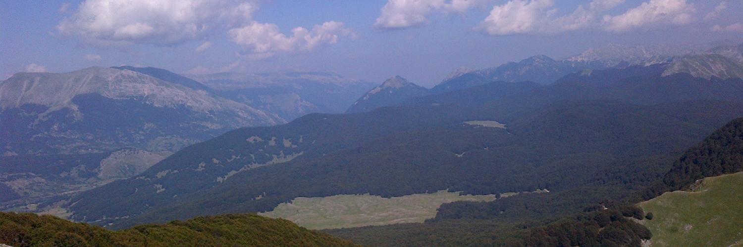 Micol Pignataro banner