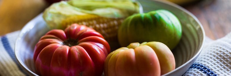 Errieda du Toit banner