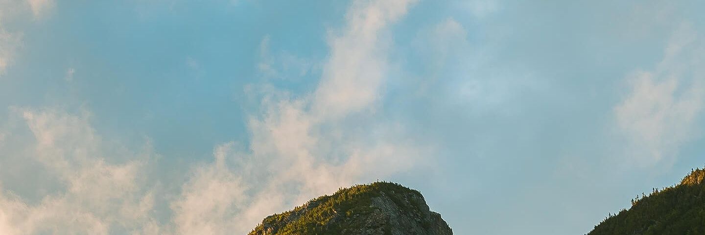 michelledrey's profile banner image