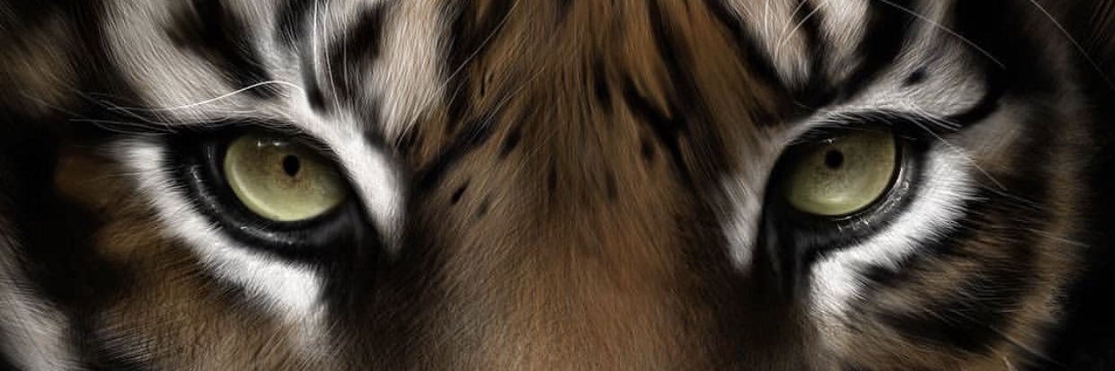 TonyLopezSerran's profile banner image