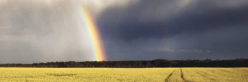 svisss's profile banner image