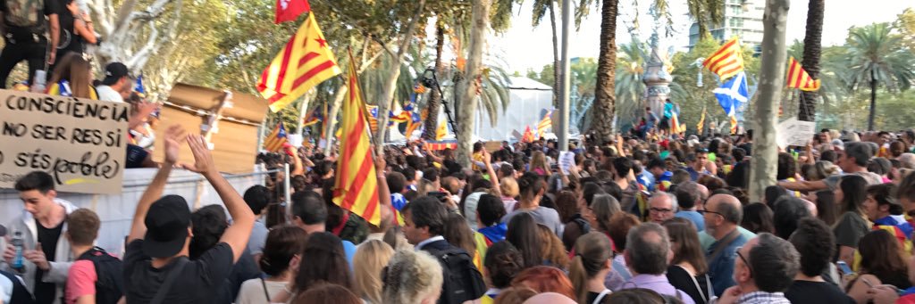 sergi_lliure's profile banner image