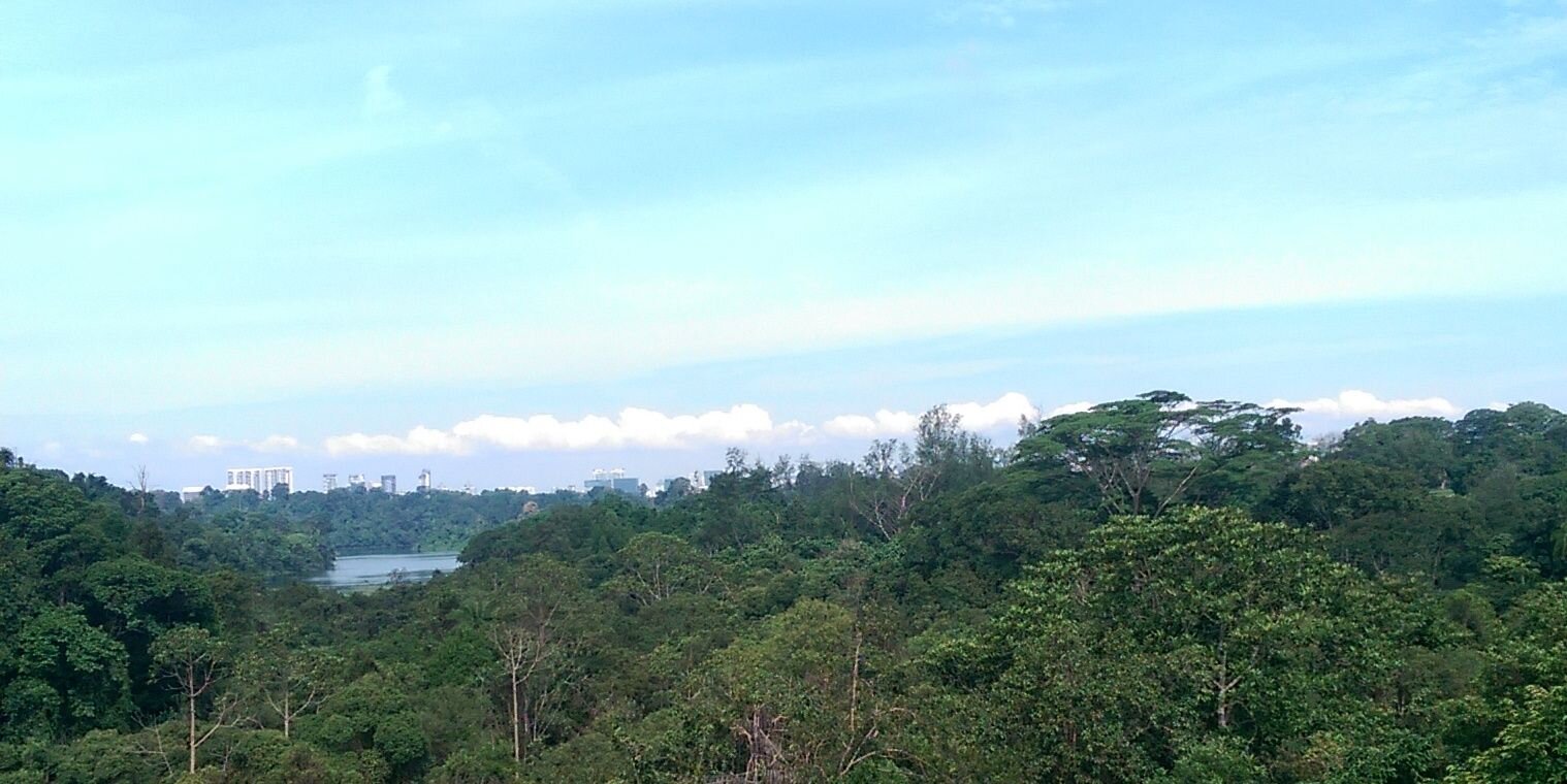 amirulzndn's profile banner image