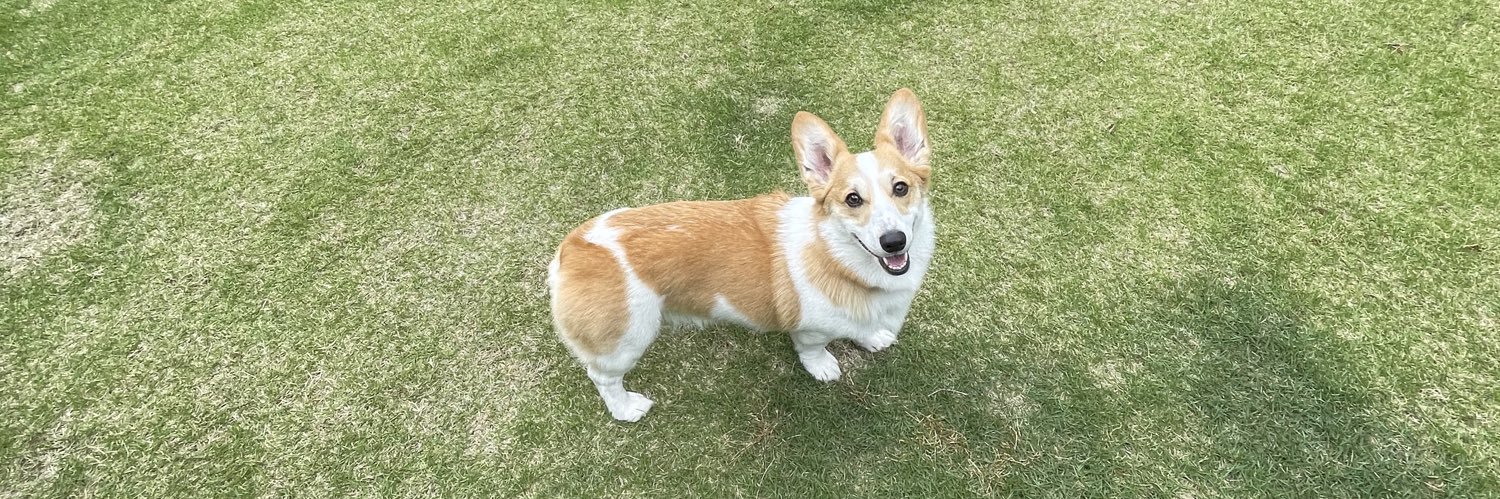 すいみゃ🍉 banner