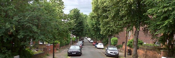 Colleen_Atkins Profile Banner