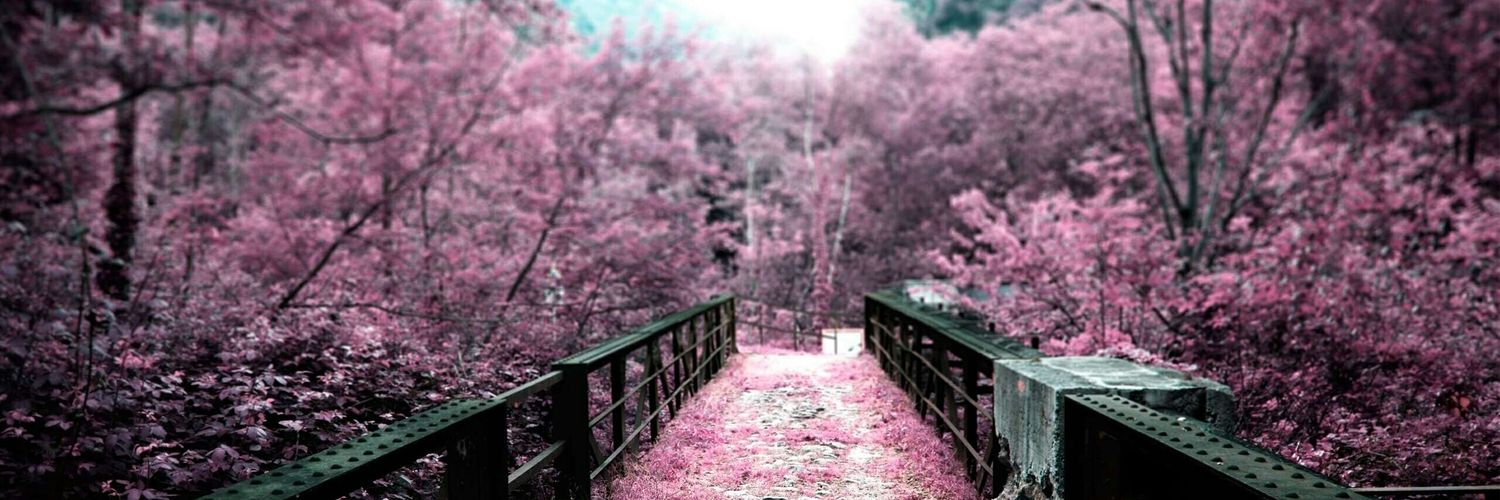 TaeyeonIsMine's profile banner image