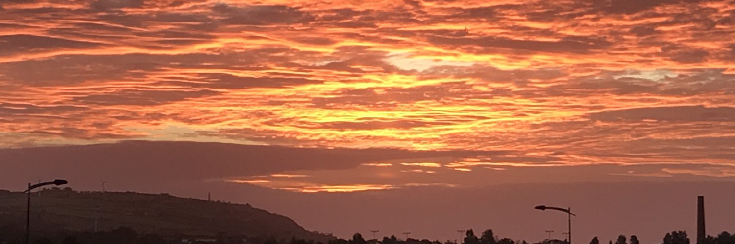 Michael Fryer banner