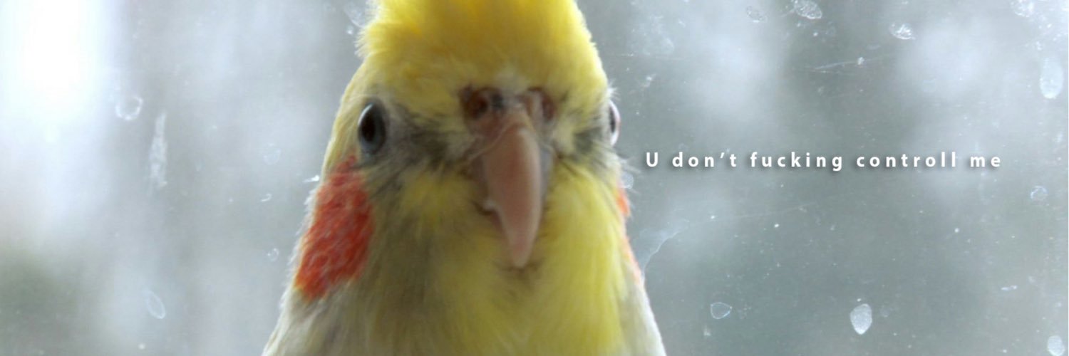 EloBoatto's profile banner image