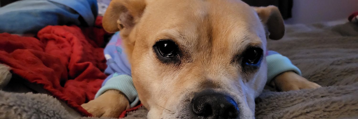 Jamye Lee Walker banner