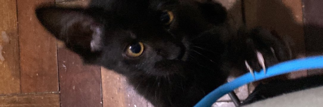 goestopp's profile banner image