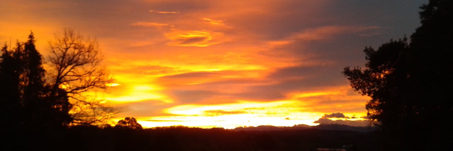 Spicy Thunder ⚡️ banner