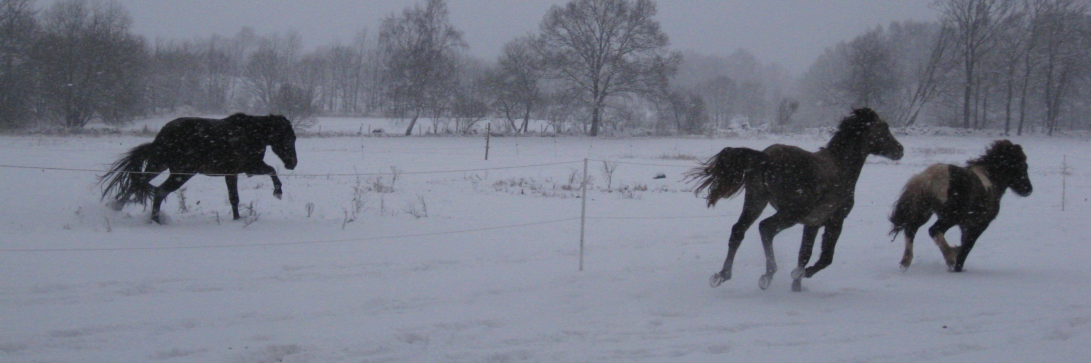 AndersEngman1's profile banner image