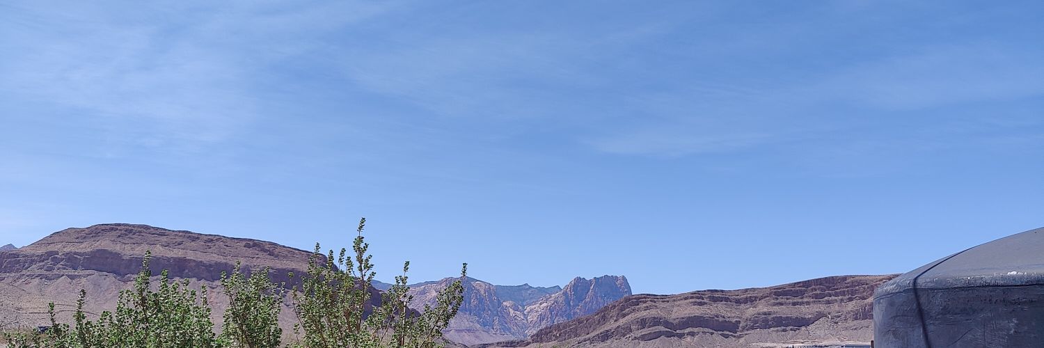 BigTwigs1981's profile banner image