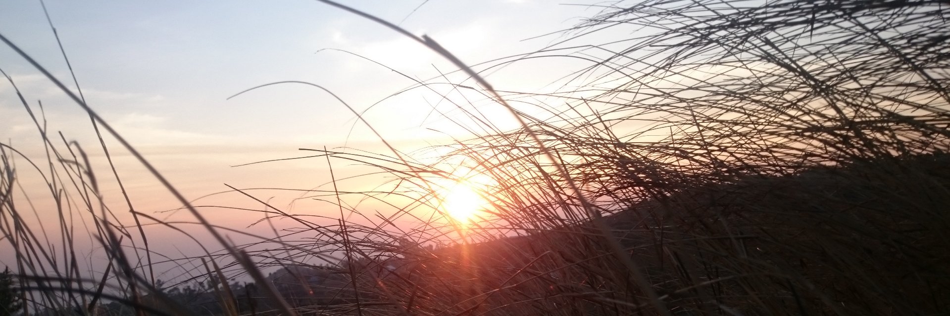 Firdausbasri's profile banner image