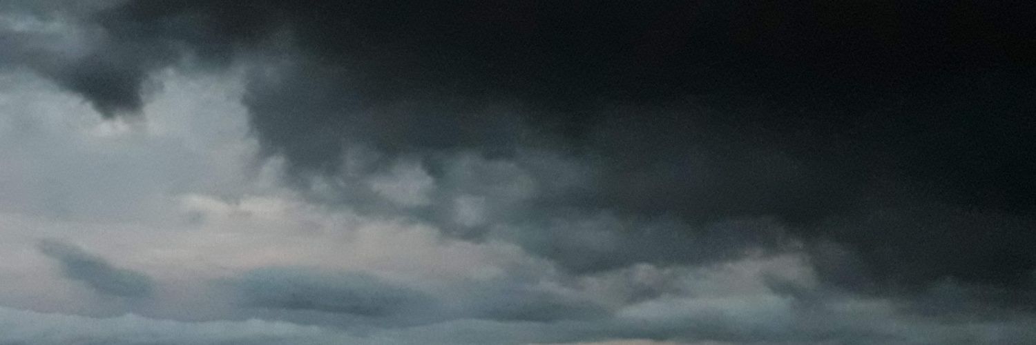 Eduardo Ameruso🇧🇷🇮🇹👉🇺🇸👉 banner