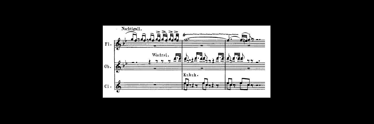 Vaishnavi Jayakumar banner