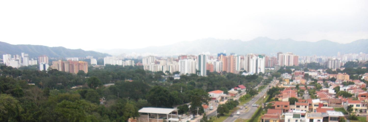 raquicaldem's profile banner image