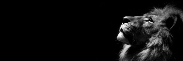 GuidoBrouwer Profile Banner