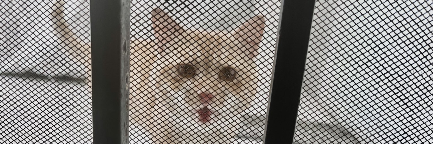 2jichronic's profile banner image