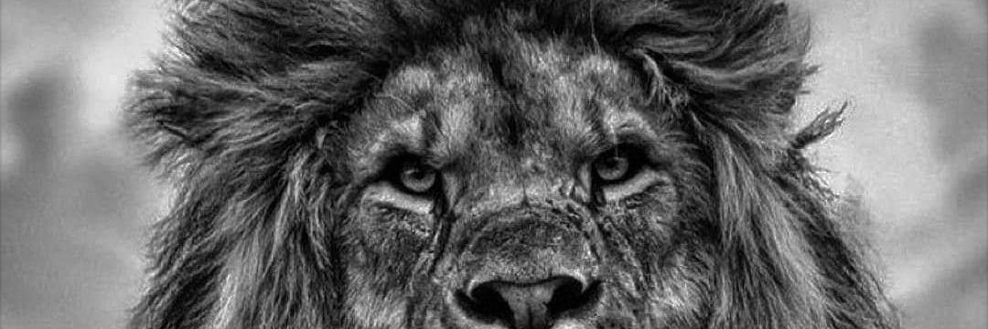 Gugsterr's profile banner image
