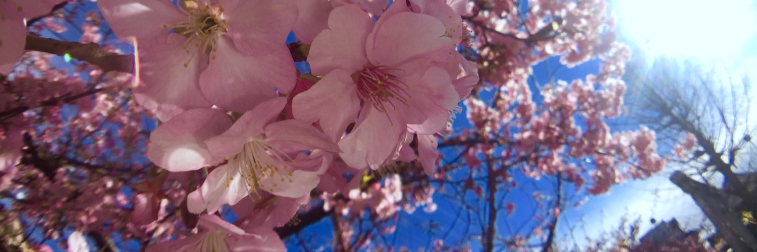 danichang314's profile banner image