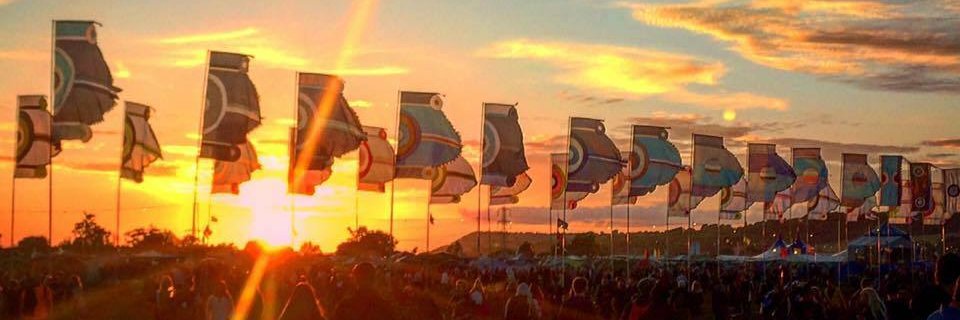 orangeelmo26's profile banner image