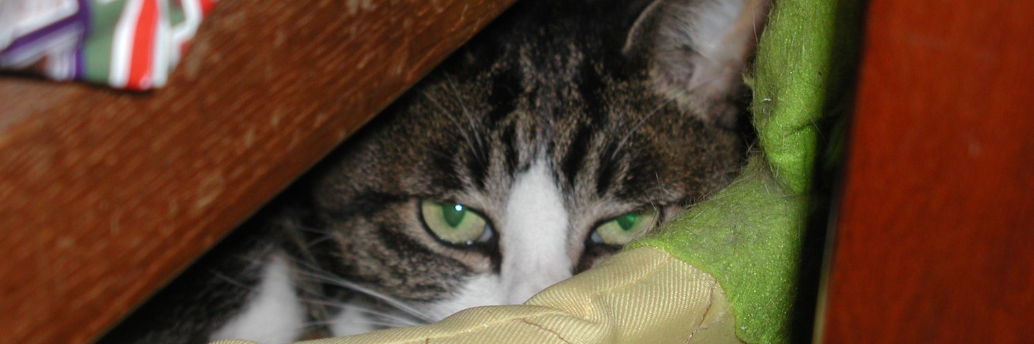 つかぽん banner