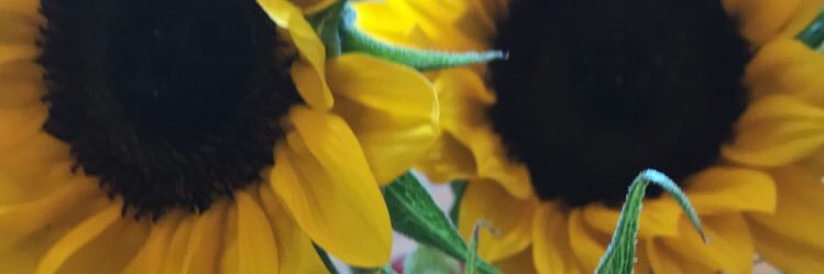 Natashaloader's profile banner image