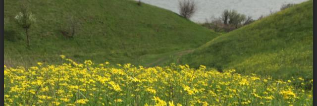 ketty_ef's profile banner image