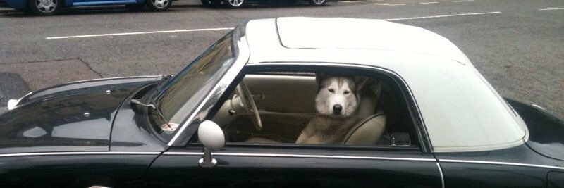 Dr Maureen Spargo banner