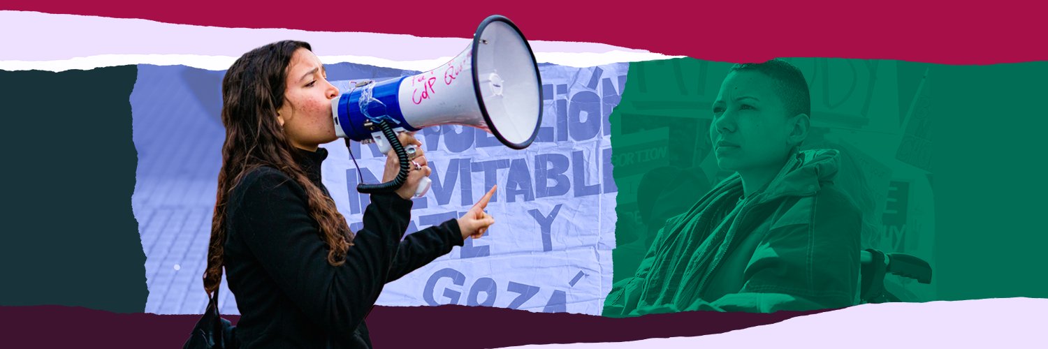 Center for Reproductive Rights banner