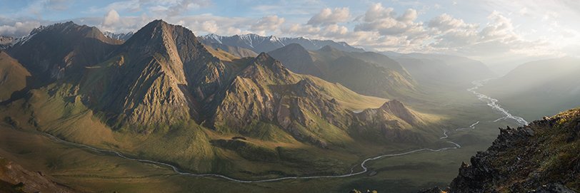 The Wilderness Society 🌳 banner