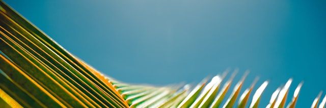 ClicNgoua's profile banner image