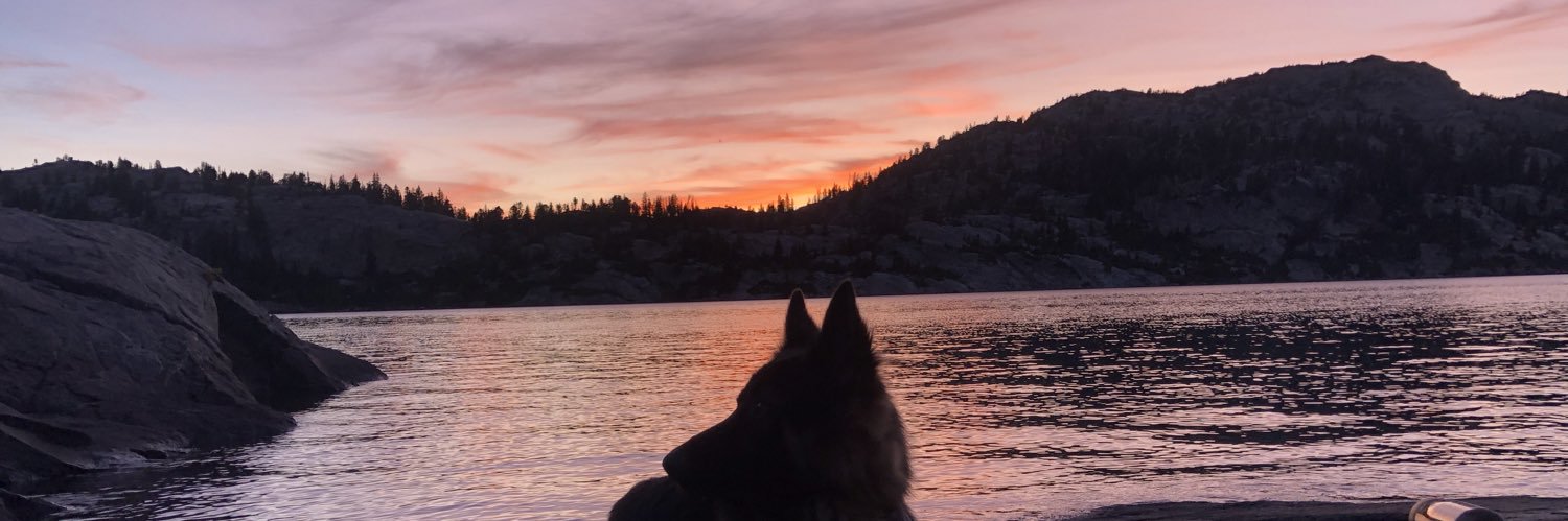 VennNik's profile banner image