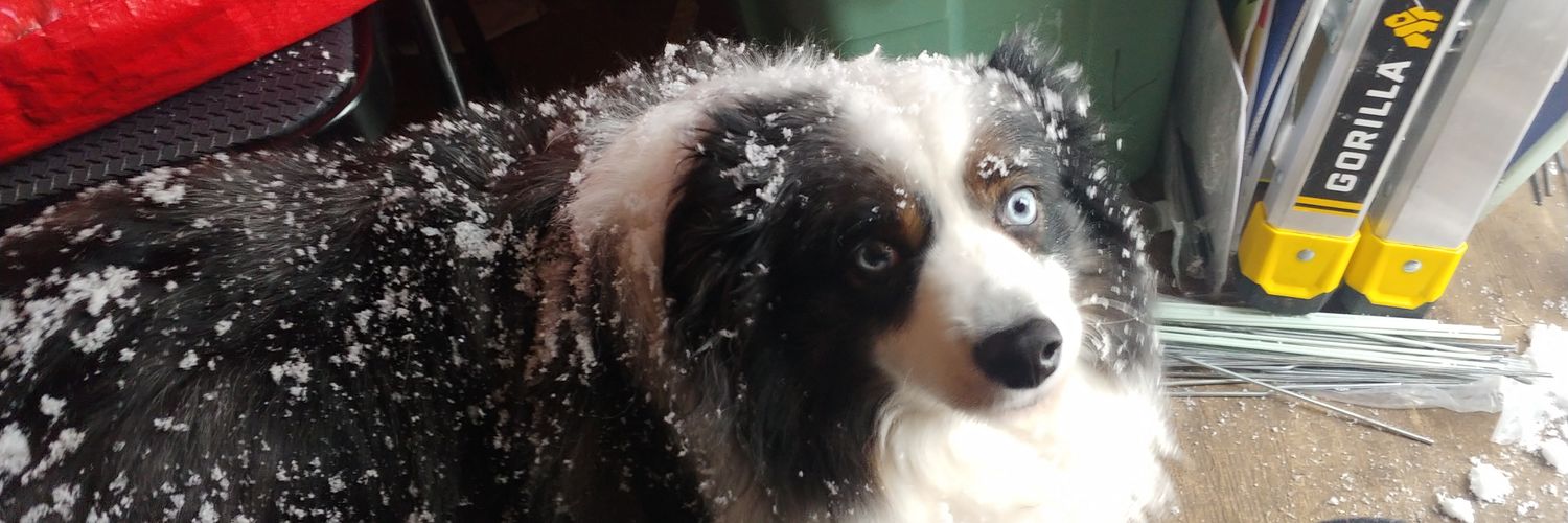 jabrenner's profile banner image