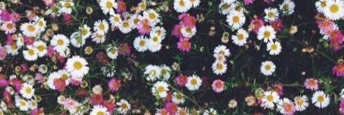 NataliaMagaa's profile banner image