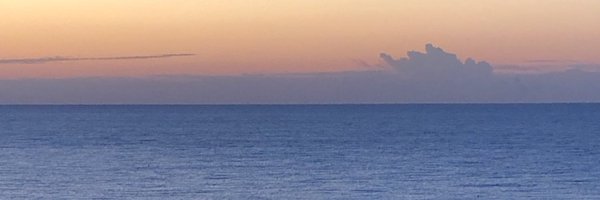 cisholt Profile Banner