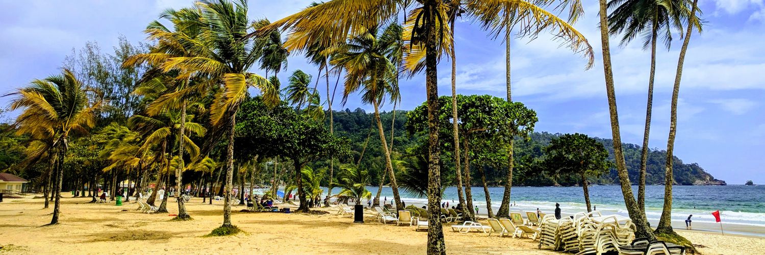 Irwin Williams banner