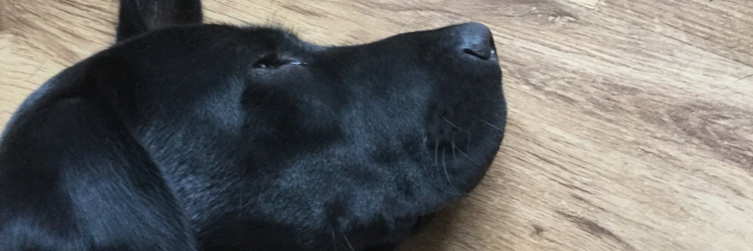 Gar23wat91's profile banner image