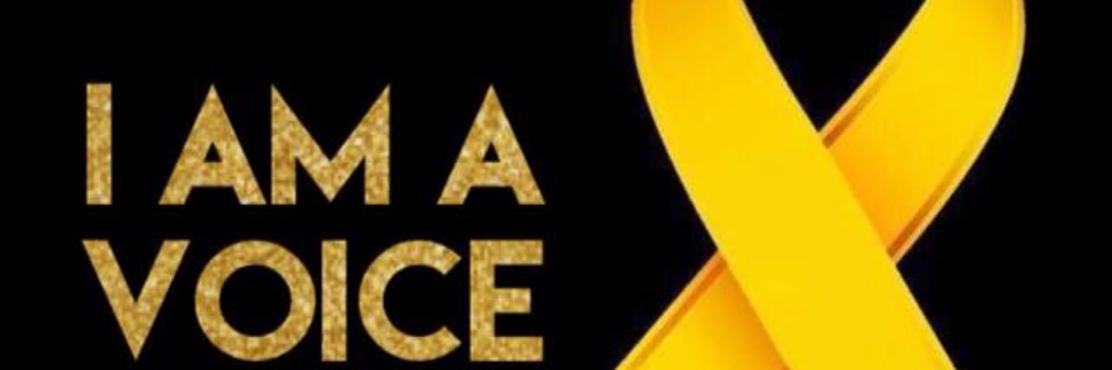 roberta paolini banner